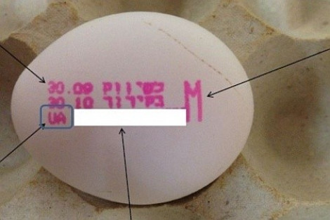Израиль ввел запрет на украинские яйца