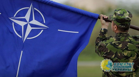Англия профинансировала разработку настольной игры об интеграции Украины в НАТО