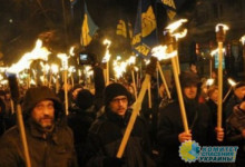 Украинские националисты устроили факельный шабаш в день памяти жертв Холокоста