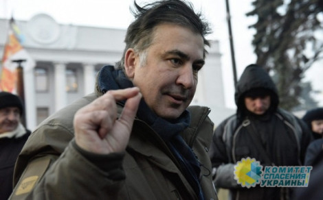 Азаров рассказал в чем интерес Саакашвили