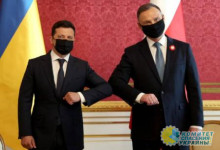 Политическая приманка