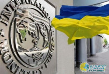 Зеленский требует особых условий по кредитам МВФ для Украины