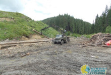 Украина близится к экологической катастрофе – после госпереворота в стране вырубили 30% всех лесов
