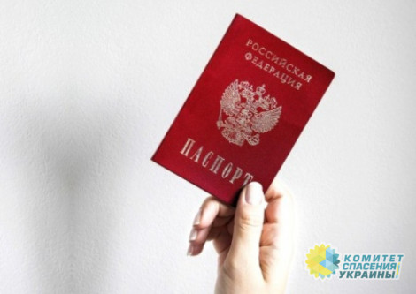 В ЛНР посчитали, сколько человек получили гражданство РФ