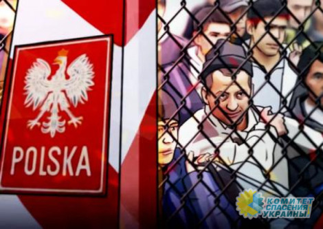 Журавко: Белоруссия должна ввести санкции против Польши из-за издевательств над мигрантами