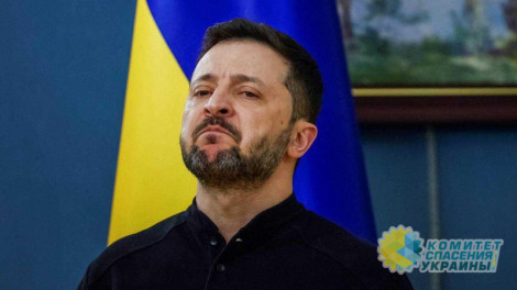 Зеленский оскалился на гендиректора "Rheinmetall" Паппергера Зеленский оскалился на гендиректора "Rheinmetall" Паппергера