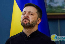 Зеленский оскалился на гендиректора "Rheinmetall" Паппергера