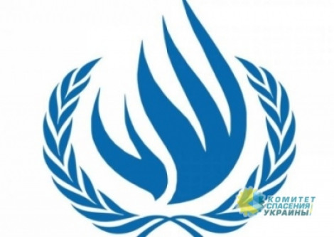 ООН указал на нарушения прав человека в «демократической» Украине