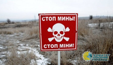 Более тысячи людей подорвались на минах в Донбассе