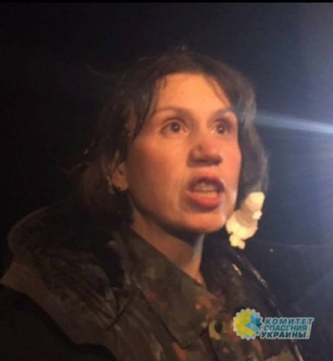 Андрей Портнов: Татьяну Черновол в 2013 г. избили ее однопартийцы из «Народного Фронта»