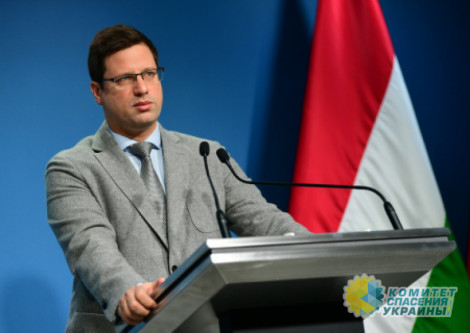 Власти Венгрии заявили об отсутствии претензий на Закарпатье