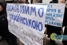 В Харькове посоветовали валить «в свою бандеровщину» сторонникам украинизации
