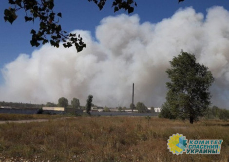 В Харьковской области бушует масштабный пожар