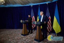 «Какой стыд»