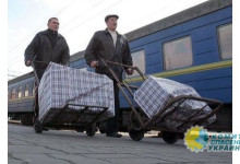 Николай Азаров рассказал про вклад украинских гастарбайтеров