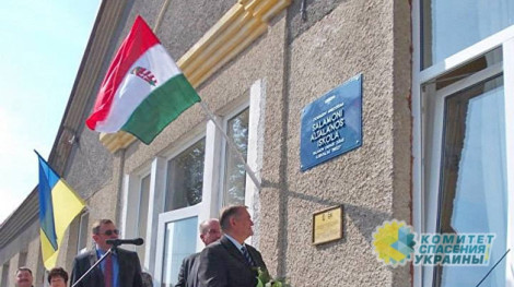 СБУ на Закарпатье снимает флаги Венгрии