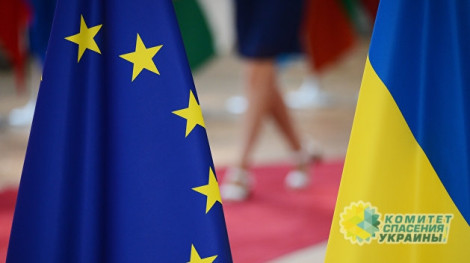 Совет Европы не смог помирить руководство Украины с нацменьшинствами