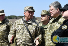 Гольдарб: «Партия войны» дорого обходится Украине