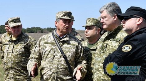 Гольдарб: «Партия войны» дорого обходится Украине