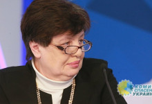 Шеслер: «Радует нарастание темпов получения российских паспортов в Донбассе»