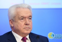 Власти Украины боятся народной дипломатии – Олейник