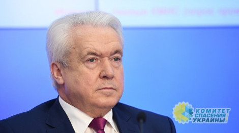 Власти Украины боятся народной дипломатии – Олейник