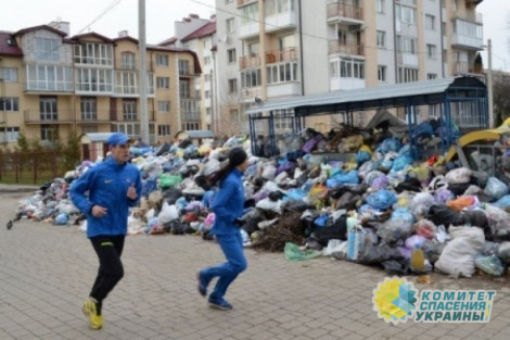 В мусорной колыбели Майдана объявляют чрезвычайное положение: Львов атаковали крысы и мухи