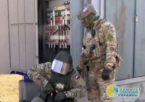 В Воронежской области ликвидировали украинских террористов
