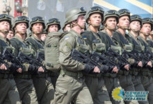 Германия признала: Украинский парламент утвердил нацистское приветствие
