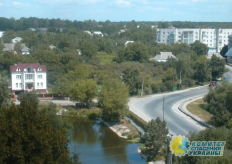 На Киевщине людоловы избили очередного украинца до потери памяти