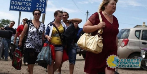 В ООН констатировали: в Украине самый большой в Европе кризис, связанный с переселенцами