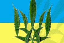 Минздрав во главе с Супрун начал борьбу за легализацию наркотиков в Украине