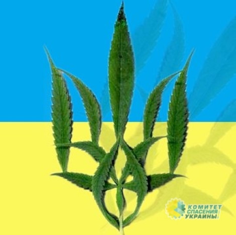 Минздрав во главе с Супрун начал борьбу за легализацию наркотиков в Украине