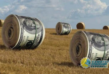 Альберт Фельдман: В условиях масштабной коррупции в Украине нельзя отменять мораторий на продажу земли