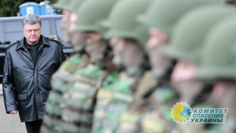 «Зарабатывает на войне», – немецкие СМИ разнесли Порошенко