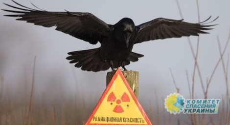 Георгий Тука: Донбассу кроме засухи грозит и радиационное заражение