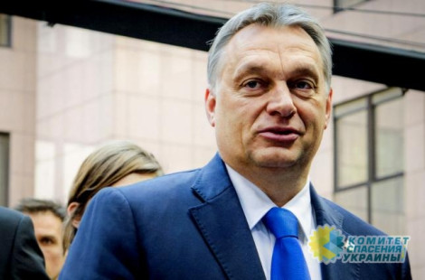 В  Венгрии на выборах победила партия действующего премьер-министра