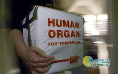 Украинцы продают собственные органы из-за катастрофической нехватки денег
