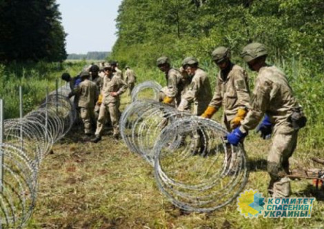 Литва усиливает границу с Белоруссией