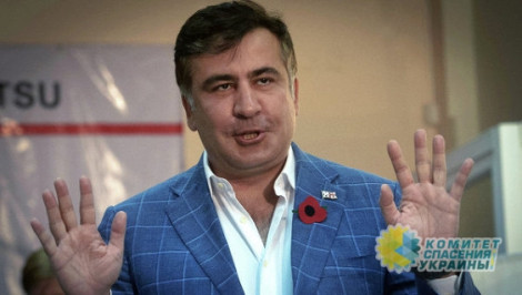 Саакашвили – это проект ЦРУ, который создает головную боль Украине, – Нино Бурджанадзе