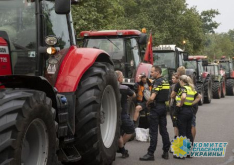 В Нидерландах протестуют фермеры