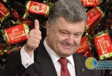 Владимир Олейник: об «успехах» и «неуспехах» Украины
