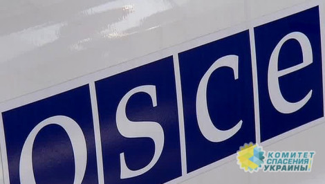 ОБСЕ: направление полицейской миссии в Донбасс в организации не обсуждается