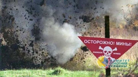 Разведгруппа ВСУ понесла потери, зайдя на минное поле в районе Донецка