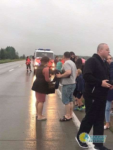 В Киевской области автобус с детьми вылетел в кювет