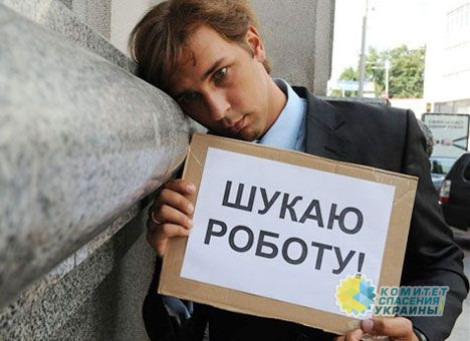В Украине почти полмиллиона официальных безработных