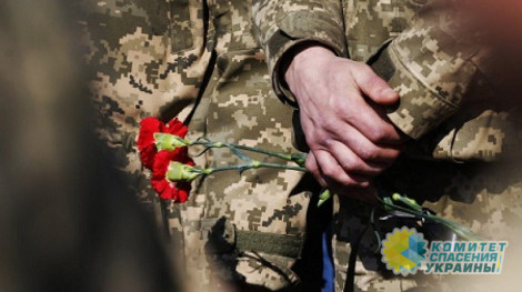 В ОБСЕ посчитали количество гражданских, погибших в Донбассе