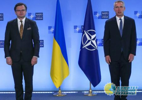 Мнение: Членство Украины в НАТО принесёте гораздо больше вреда, чем пользы