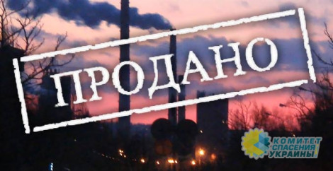 Владимир Олейник: Приватизация