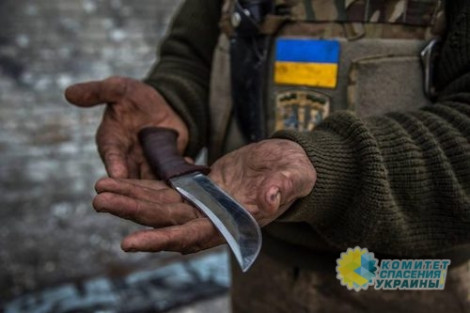 Крым и Белгород опасаются диверсий со стороны подготовленных по методикам НАТО украинских спецслужб